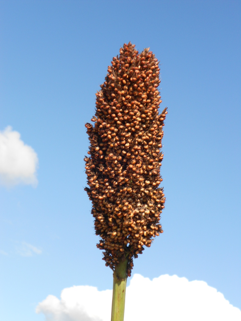 数据库中未找到相应图片