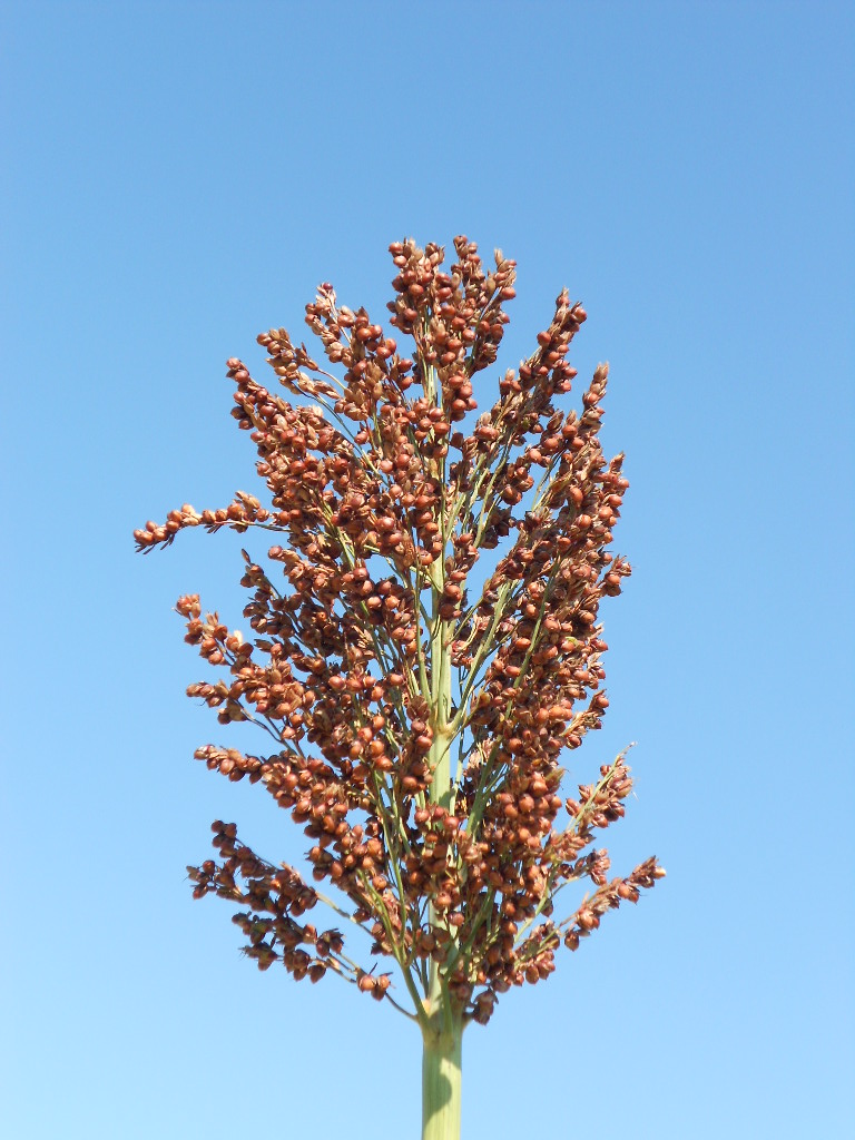 数据库中未找到相应图片