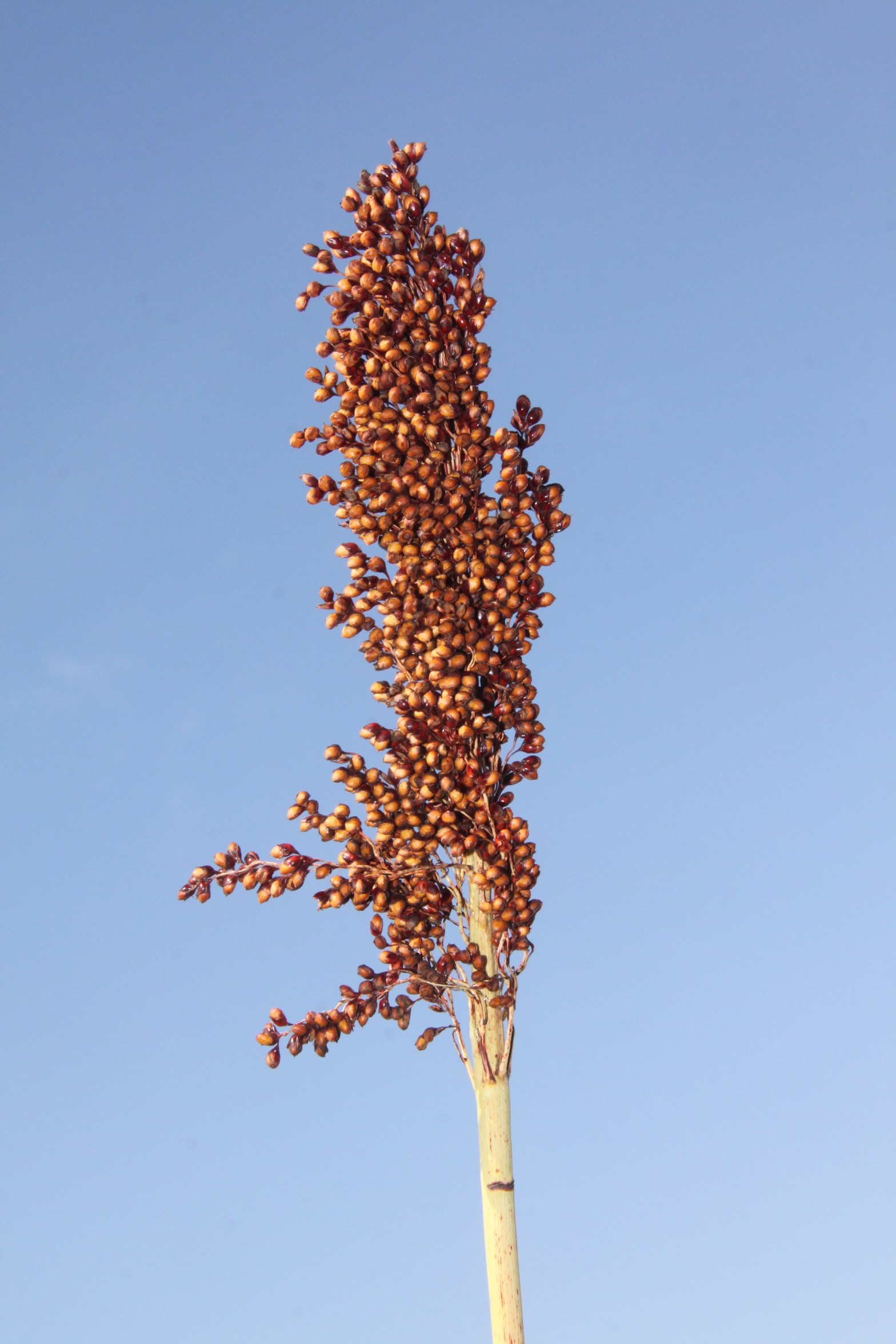 数据库中未找到相应图片