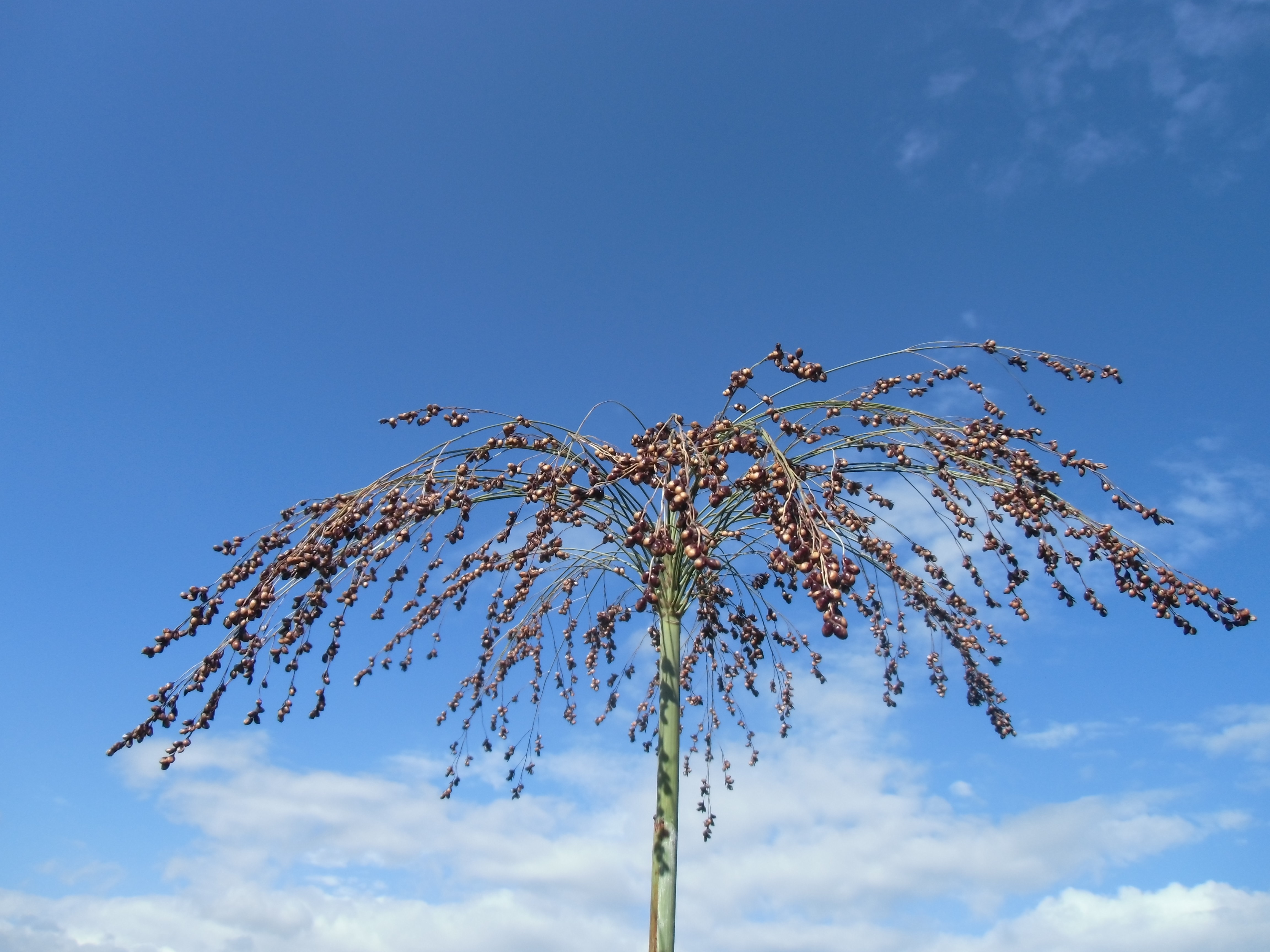 数据库中未找到相应图片