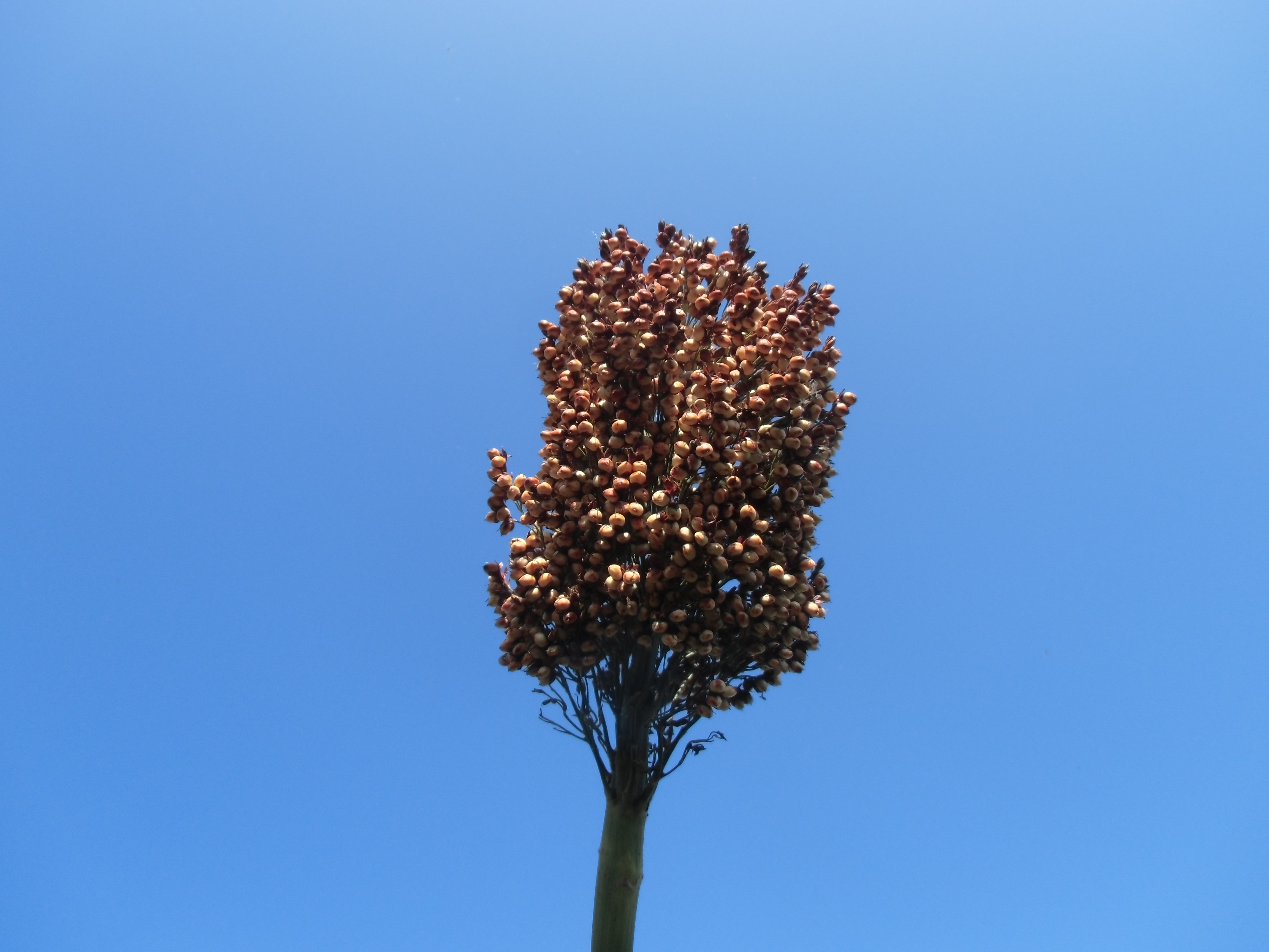 数据库中未找到相应图片