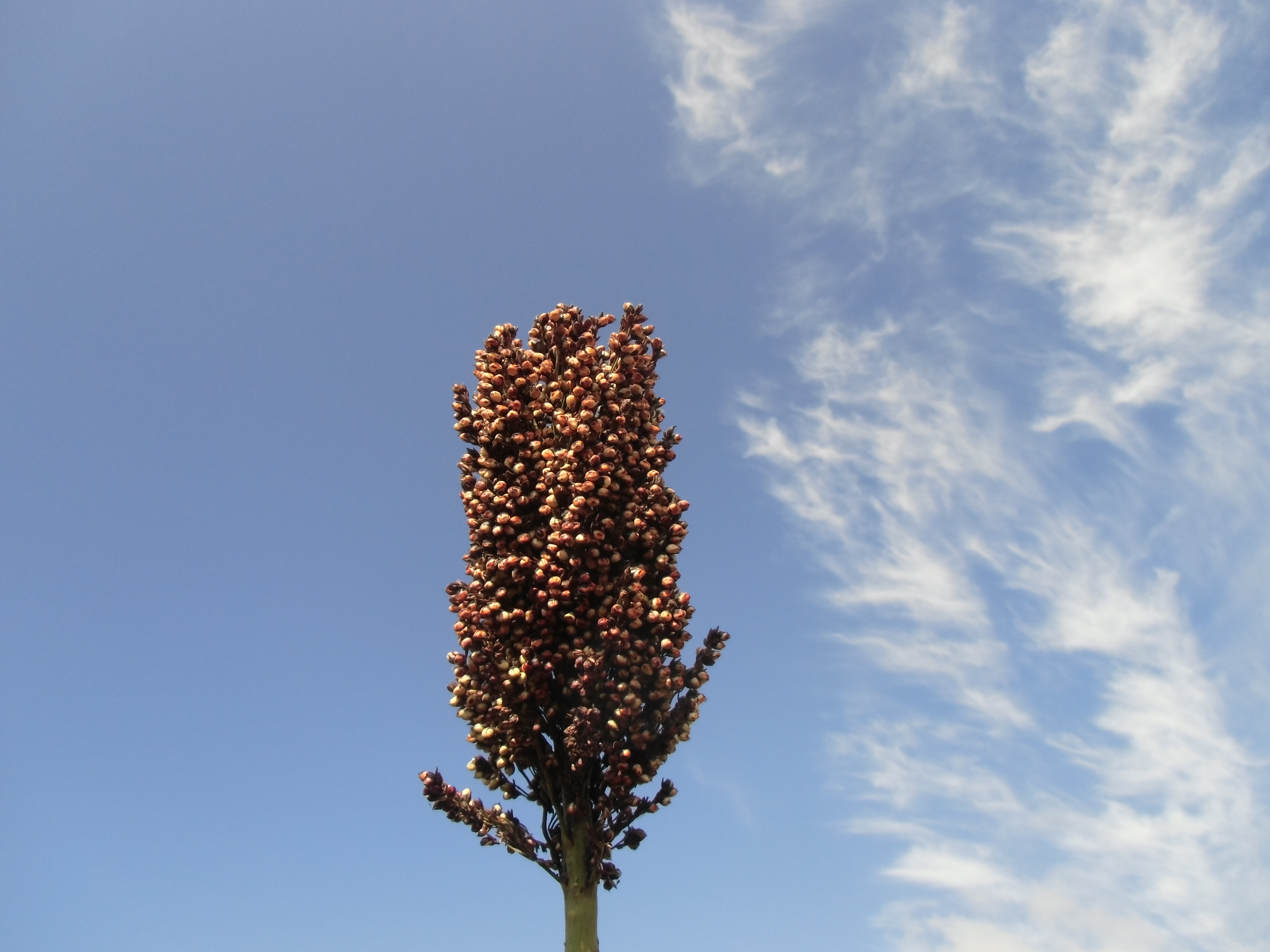 数据库中未找到相应图片