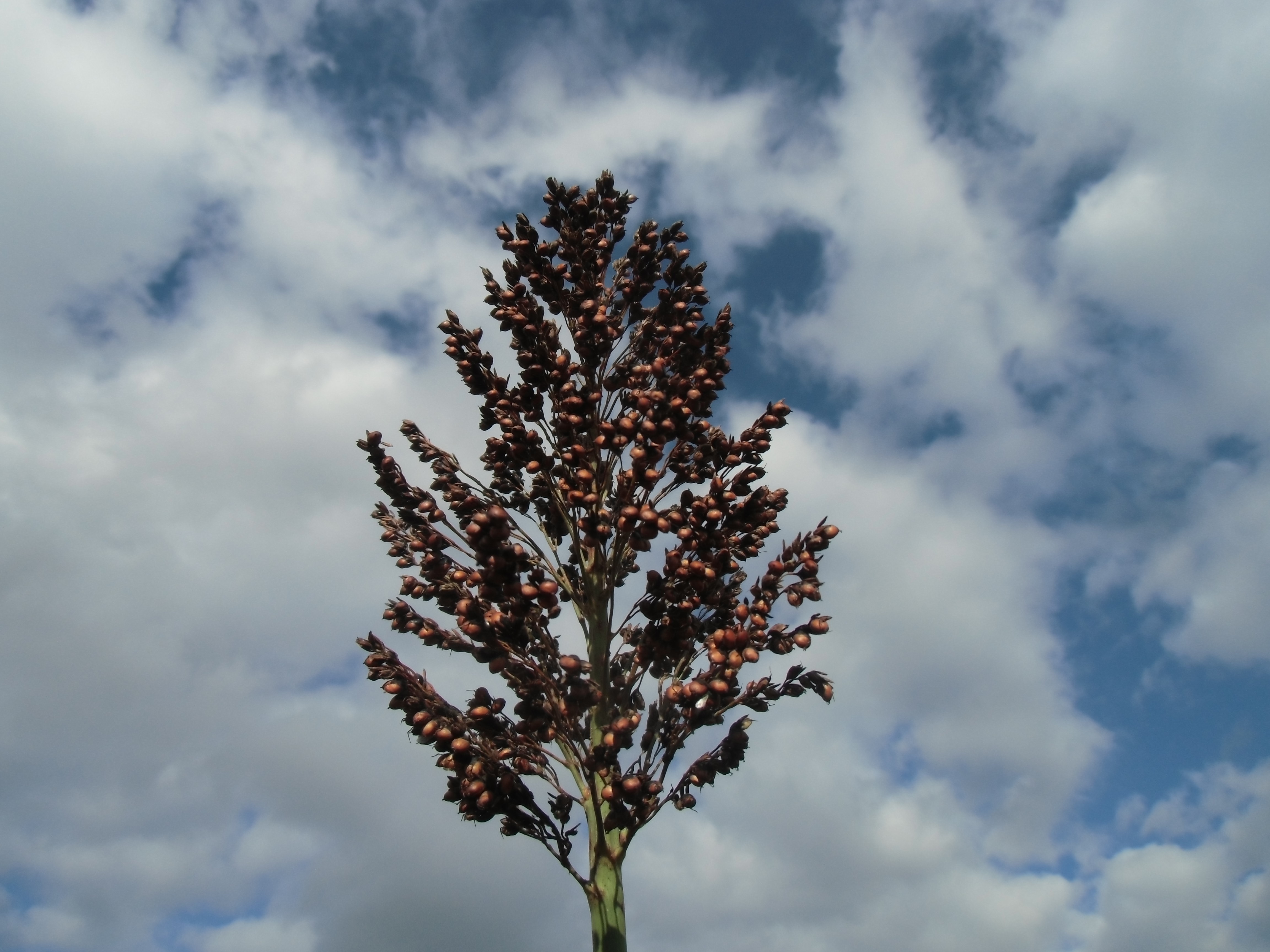 数据库中未找到相应图片