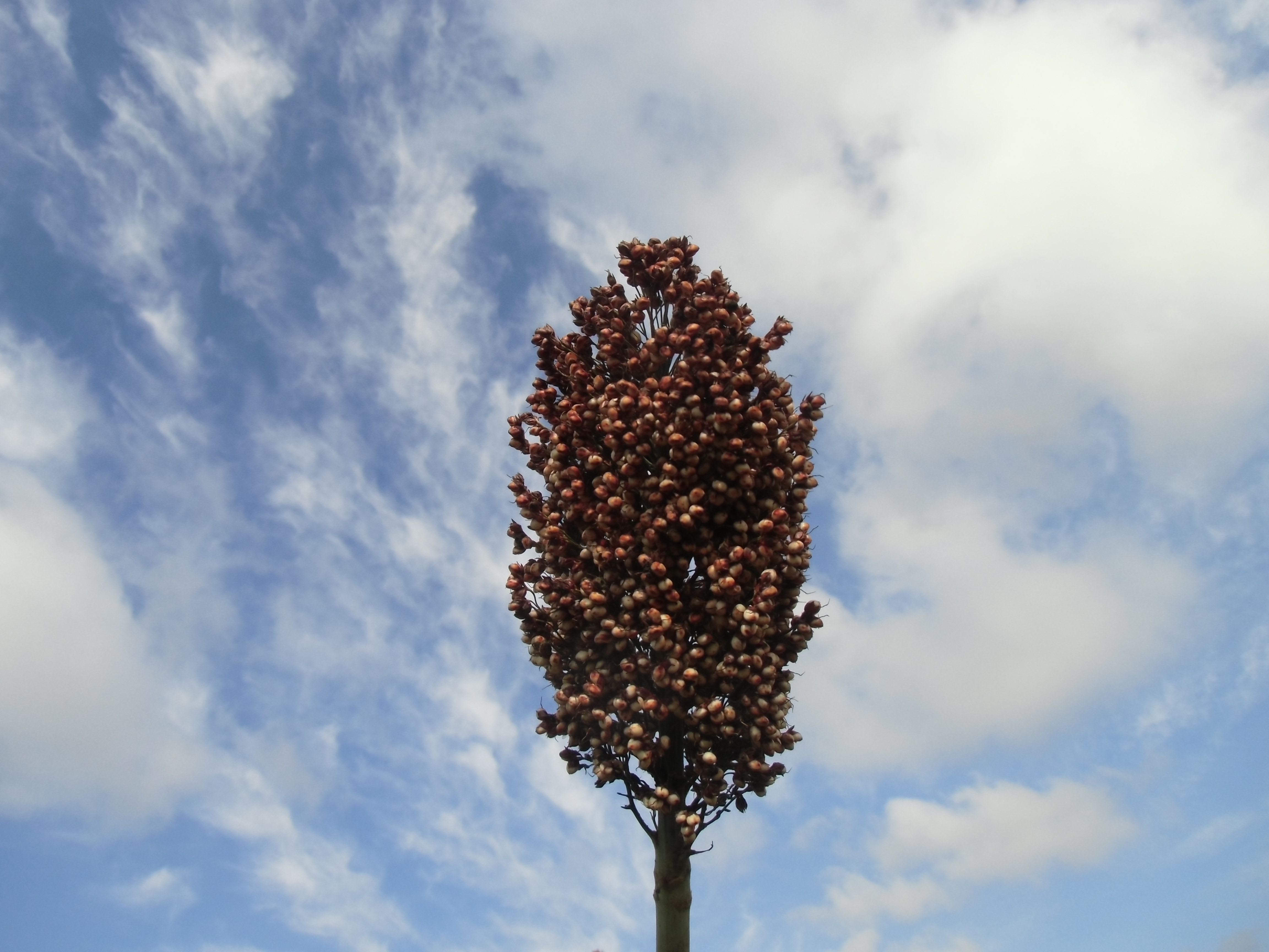 数据库中未找到相应图片