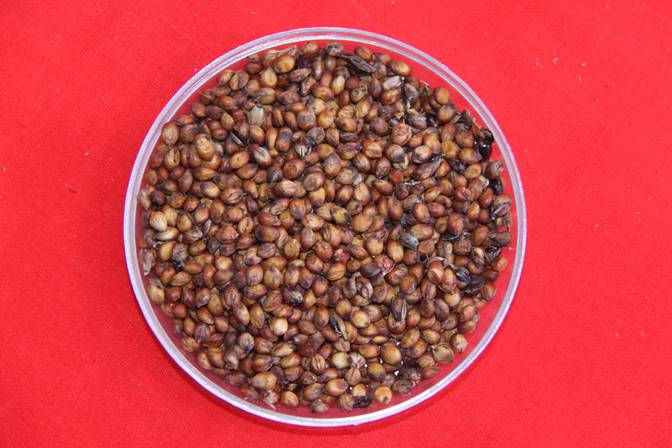 数据库中未找到相应图片