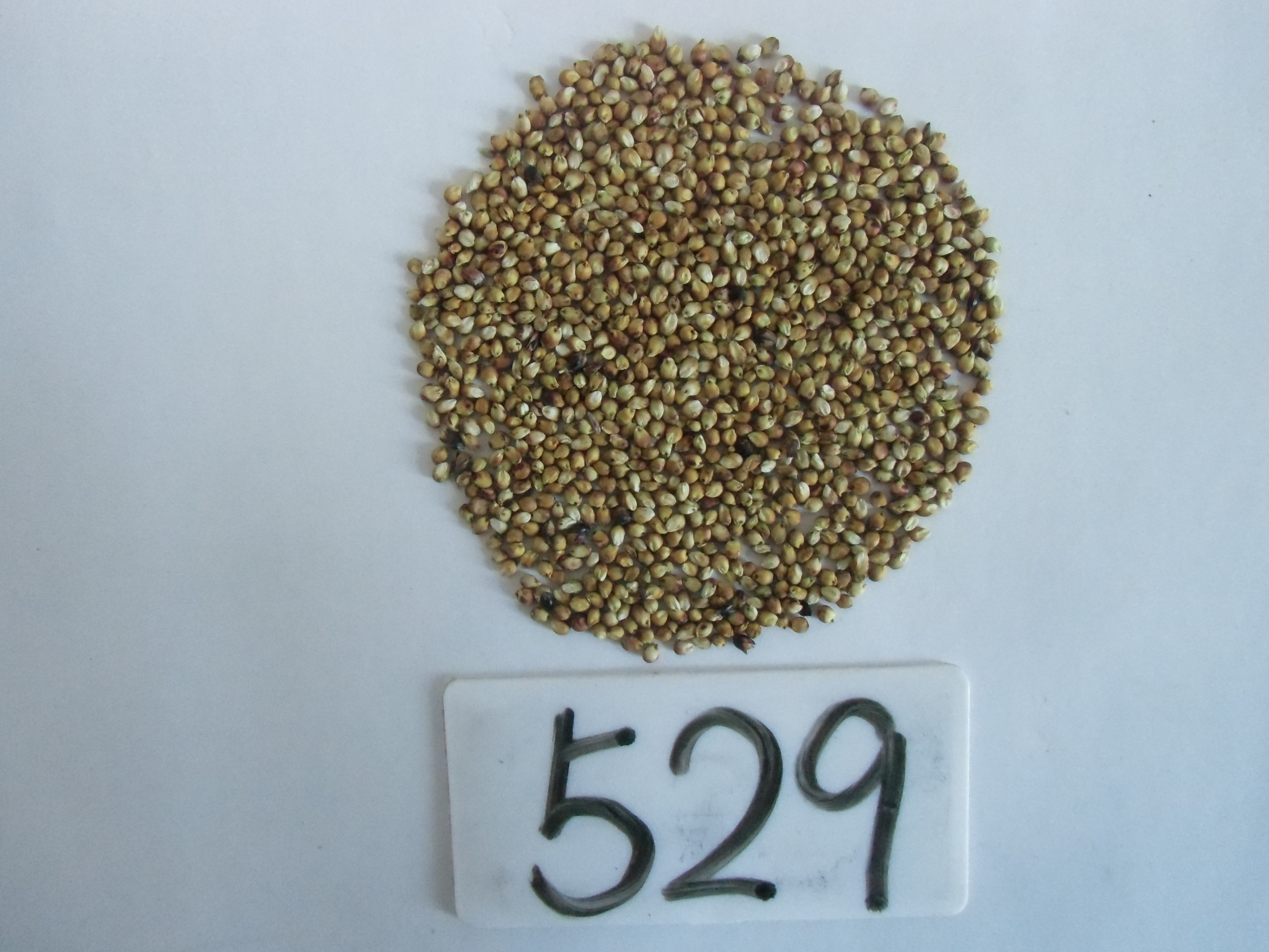 数据库中未找到相应图片