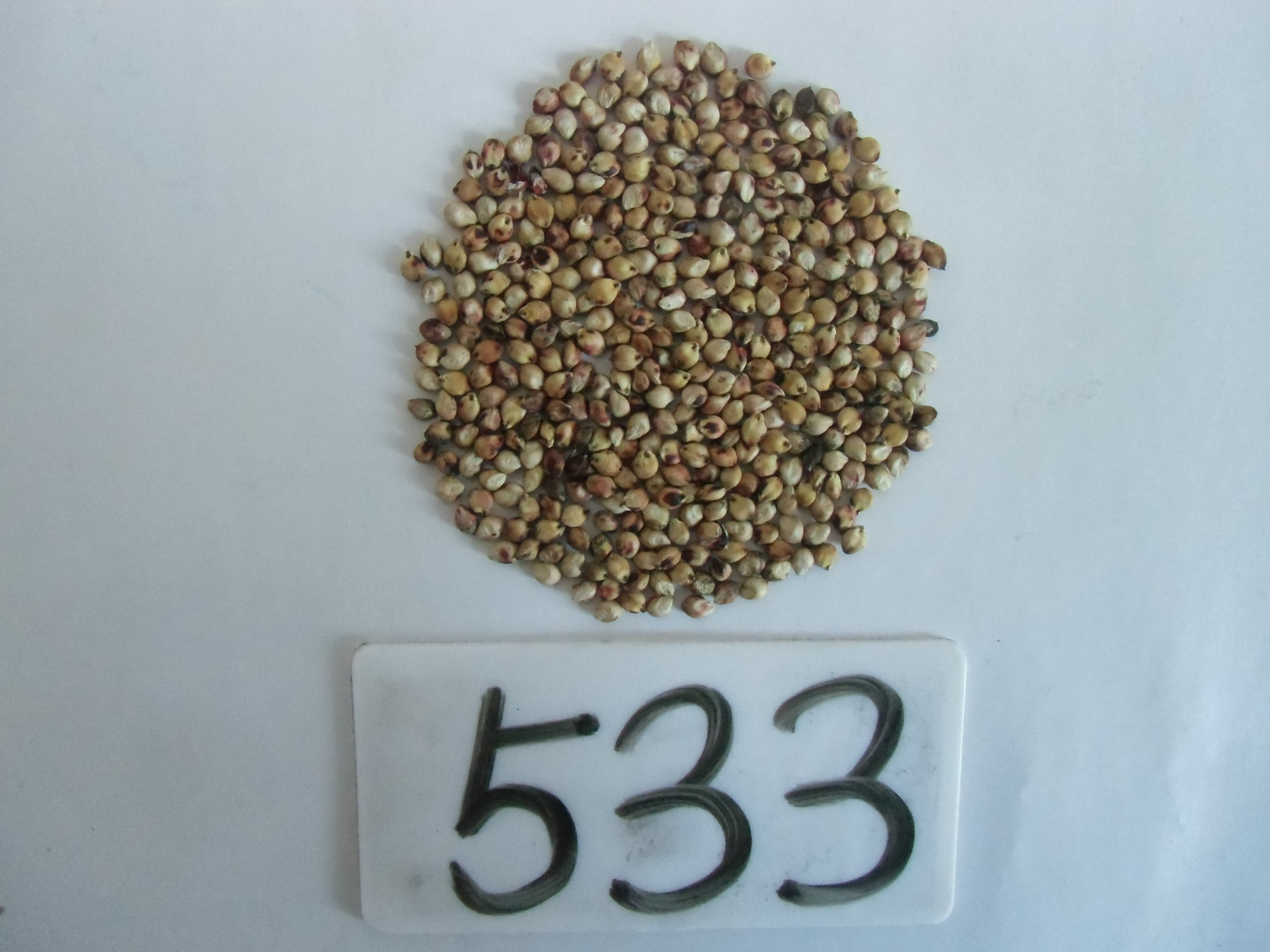 数据库中未找到相应图片