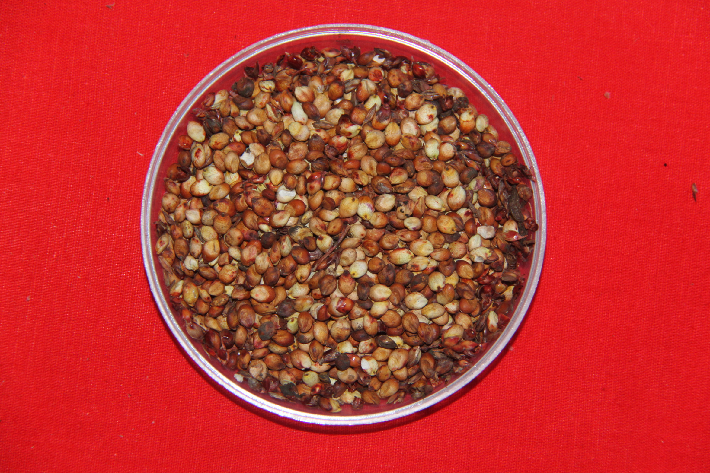 数据库中未找到相应图片