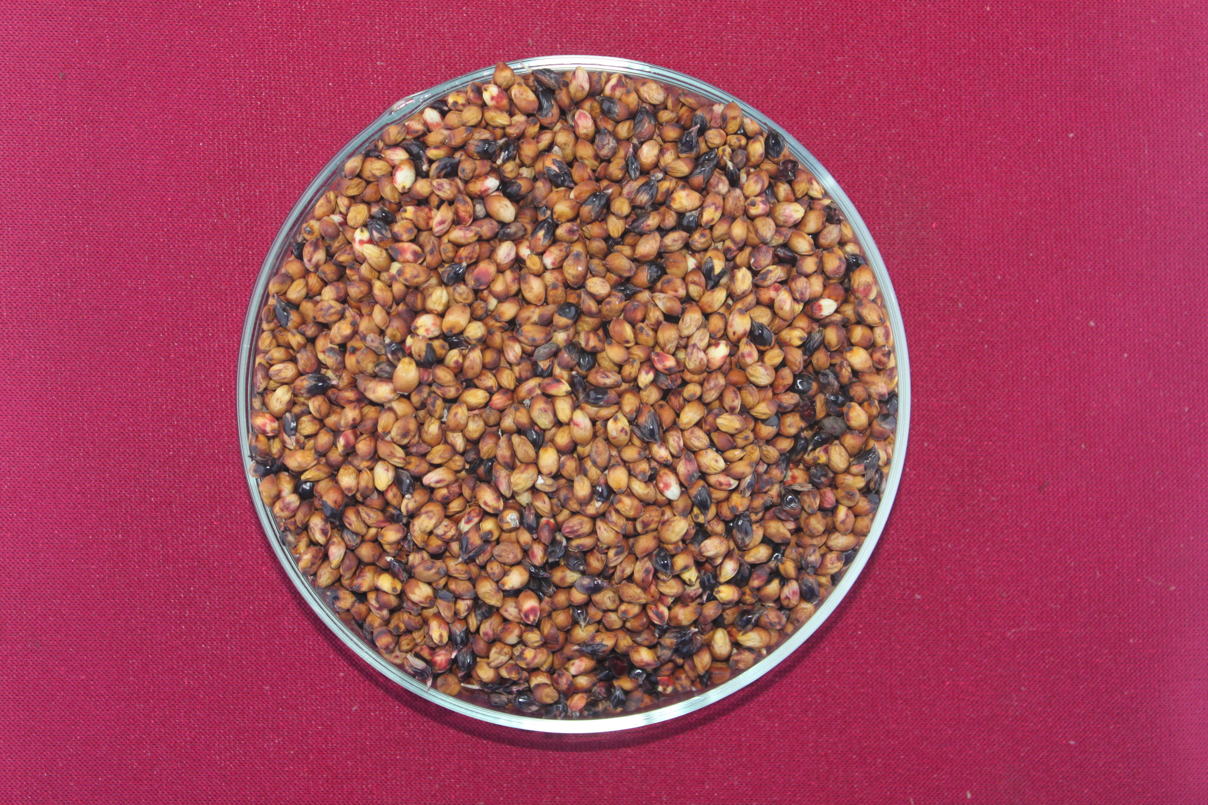 数据库中未找到相应图片