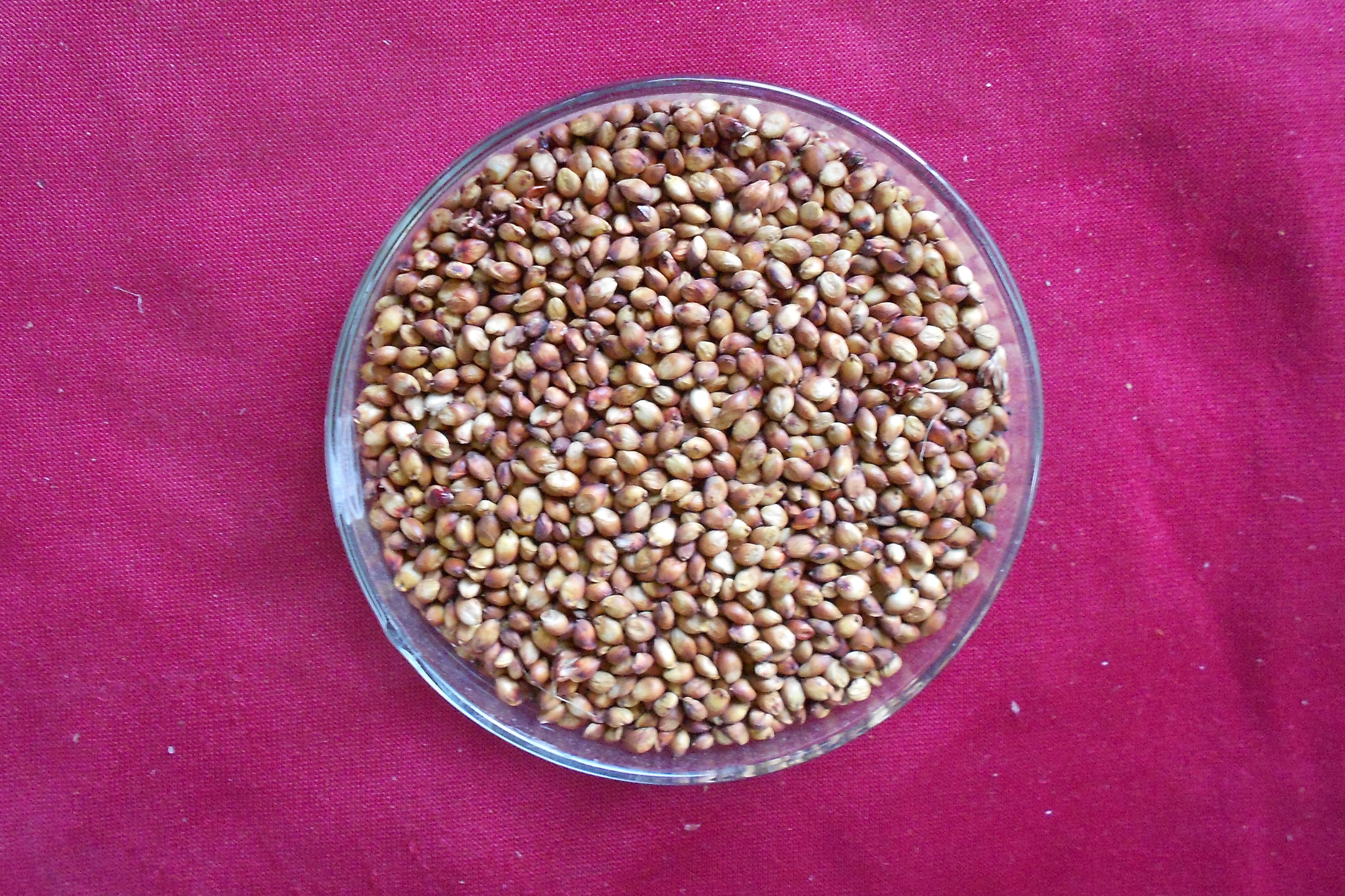 数据库中未找到相应图片